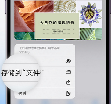 霍州apple维修中心分享iPhone文件应用中存储和找到下载文件