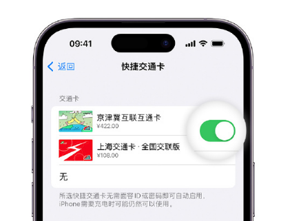 霍州apple维修点分享iPhone上更换Apple Pay快捷交通卡手绘卡面 