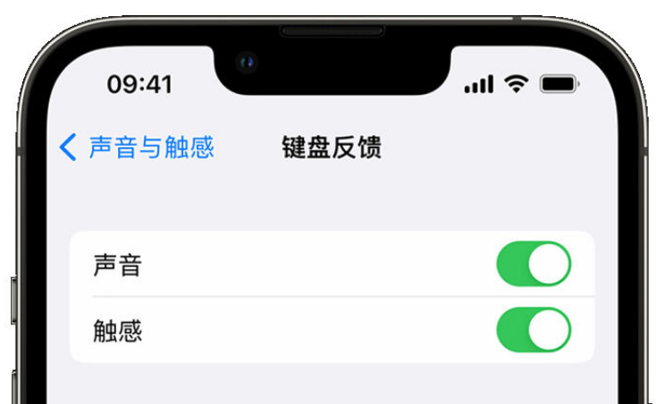 霍州苹果手机维修分享iPhone 14触感键盘使用方法 