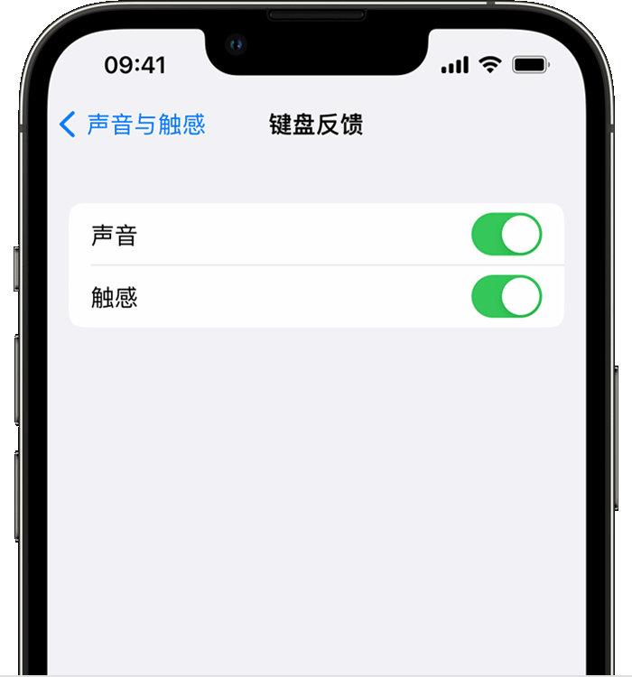 霍州苹果14维修店分享如何在 iPhone 14 机型中使用触感键盘 