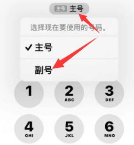 霍州苹果14维修店分享iPhone 14 Pro Max使用副卡打电话的方法 